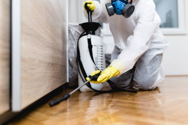 Best Pest Inspection Near Me  in Deerwood, TX