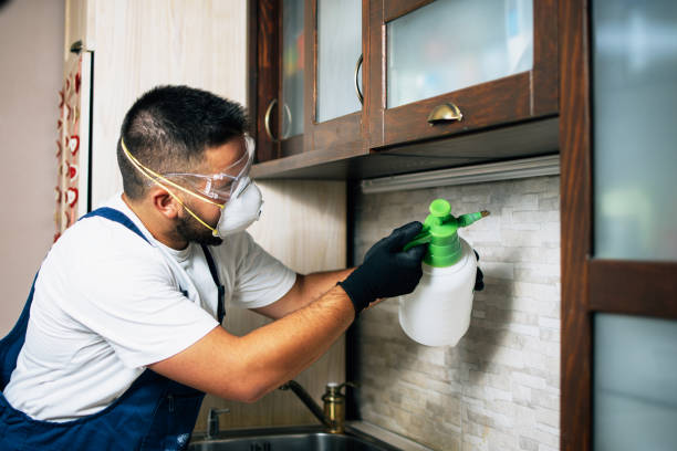 Best Wildlife Control Services  in Deerwood, TX