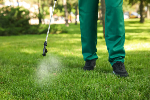 Best Residential Pest Control  in Deerwood, TX
