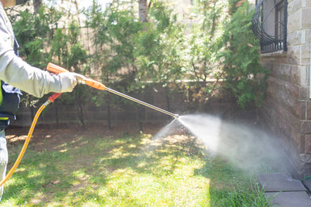 Best Affordable Pest Control Services  in Deerwood, TX