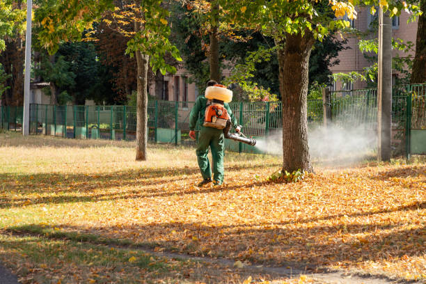 Best Pest Control for Businesses  in Deerwood, TX