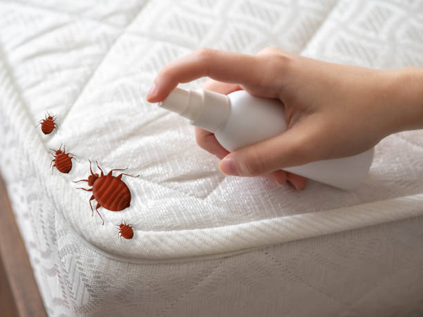 Best Pest Prevention Services  in Deerwood, TX