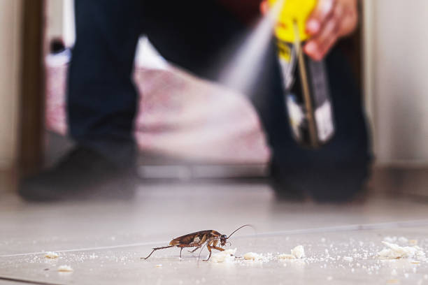 Best Ant Control Services  in Deerwood, TX
