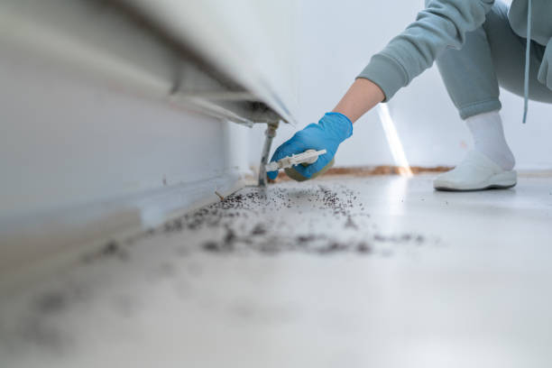 Best Affordable Pest Control Services  in Deerwood, TX